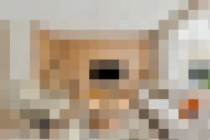 Kruidenlaan 124 Venray thumbnail 4