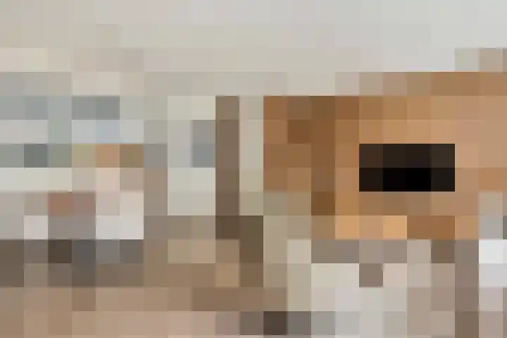 Kruidenlaan 124 Venray thumbnail 5