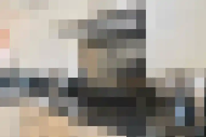 Kruidenlaan 124 Venray thumbnail 7