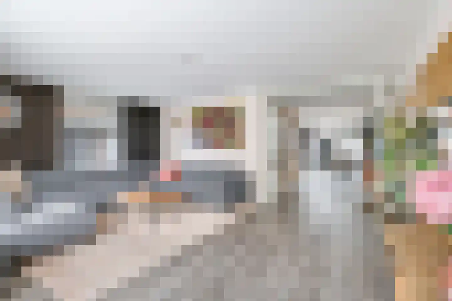 Kruidenstraat 46 Bemmel thumbnail 20
