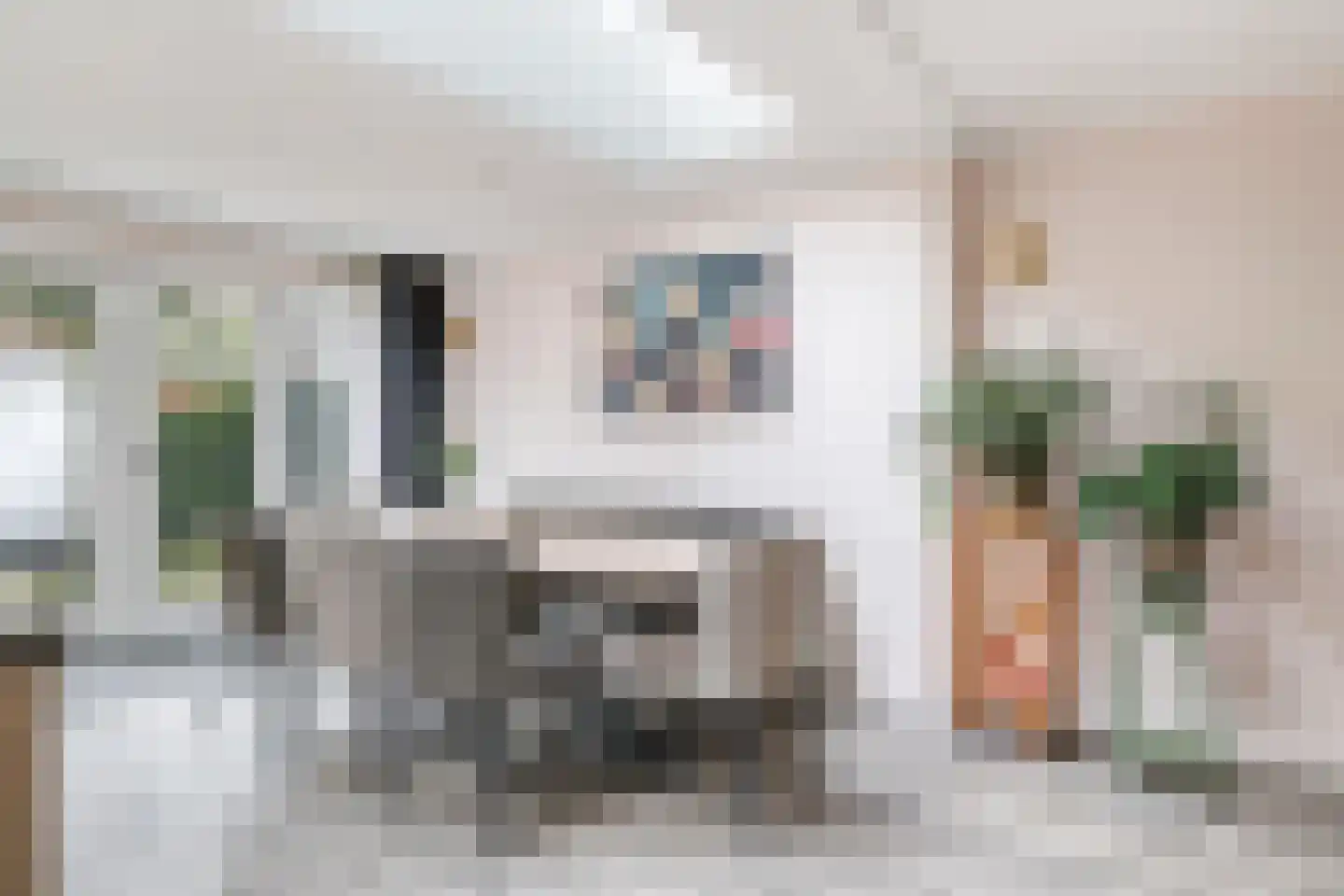 Kruidenstraat 46 Bemmel thumbnail 24