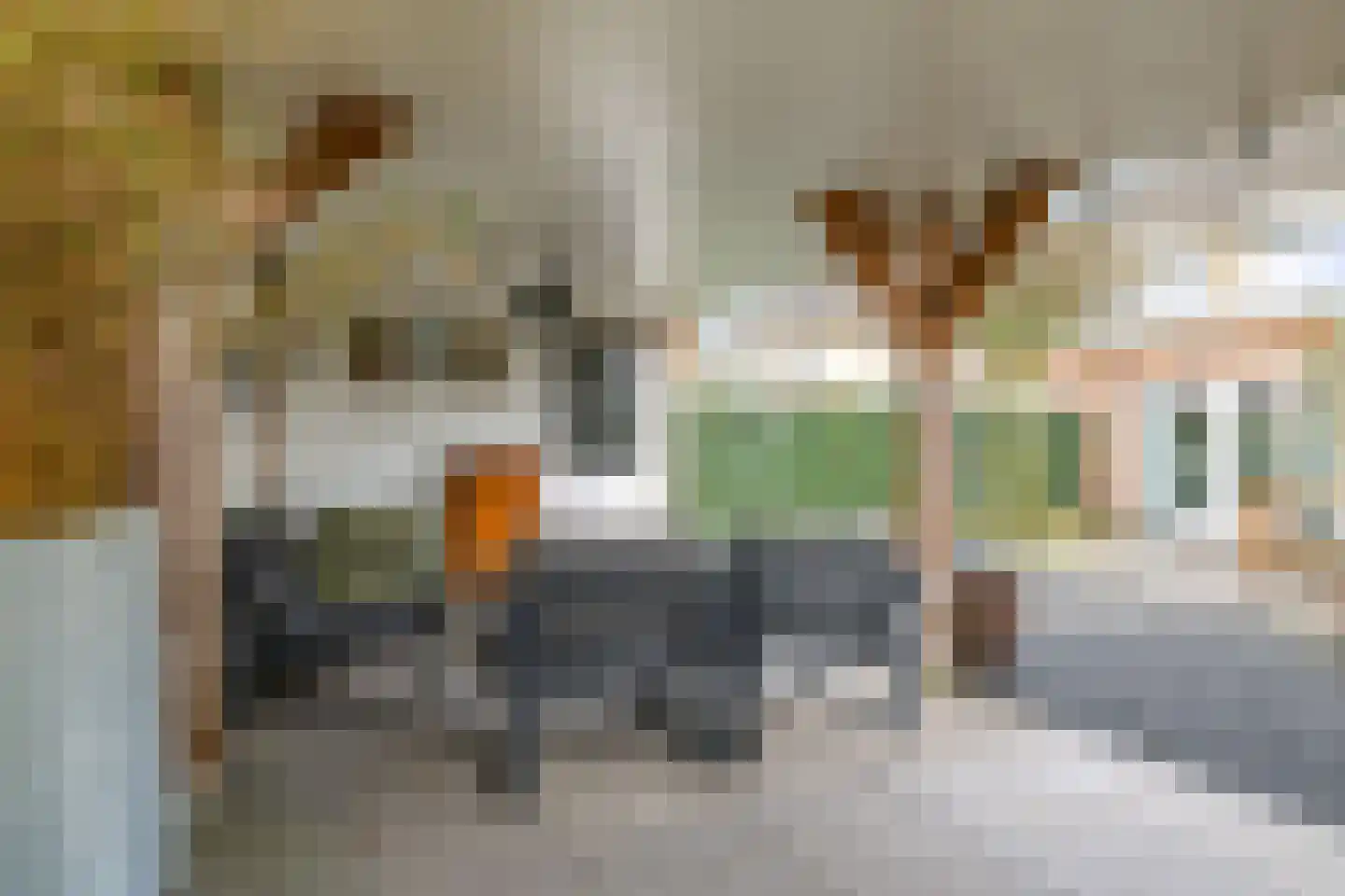 Kruidenstraat 46 Bemmel thumbnail 75