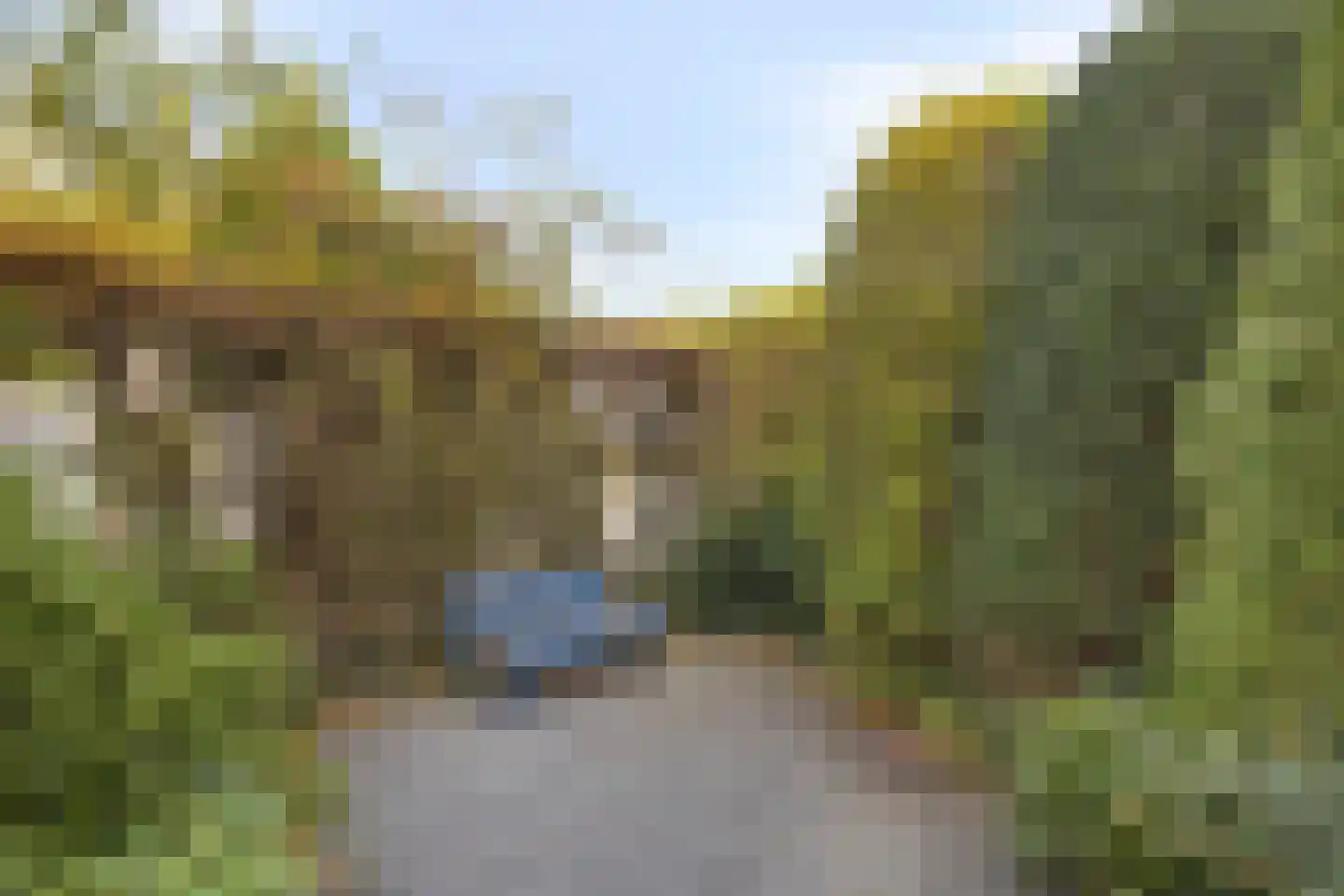 Kruidentuin 1 Barendrecht thumbnail 42
