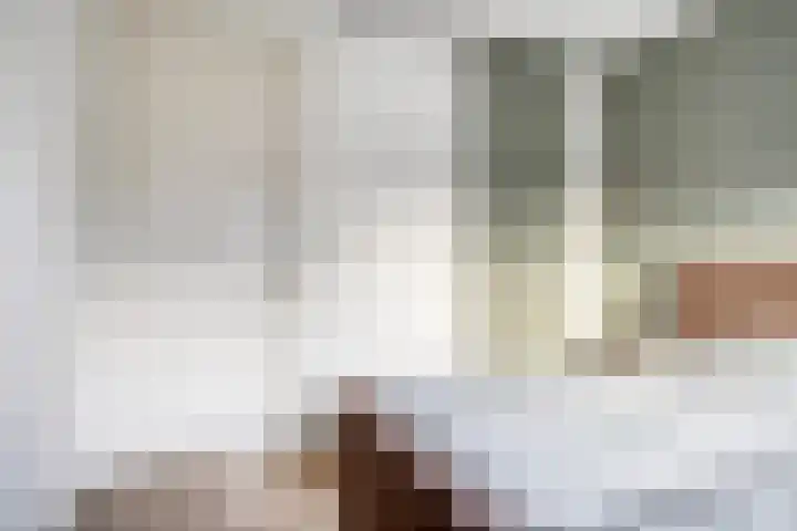 Kruidnagel 14 Gemert thumbnail 13