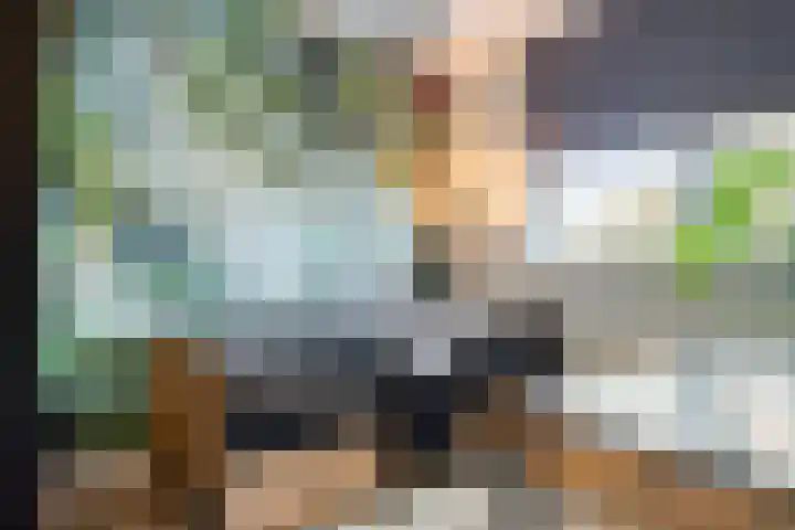 Kruidnagel 14 Gemert thumbnail 14