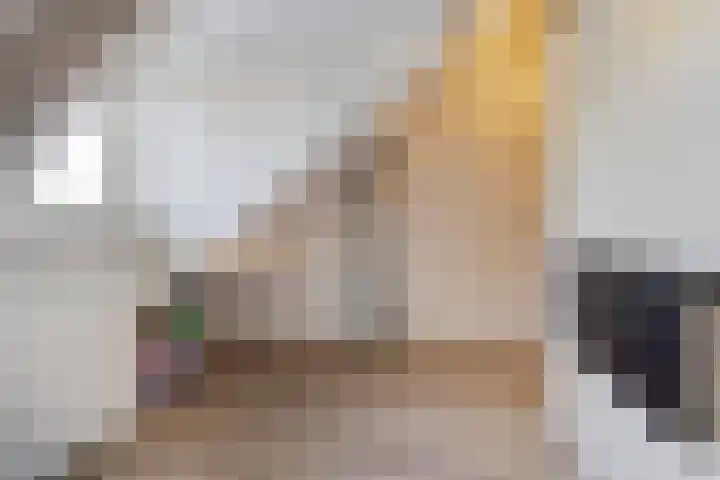 Kruidnagel 14 Gemert thumbnail 22