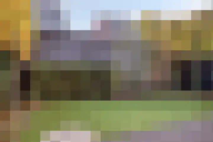 Kruidnagel 14 Gemert thumbnail 25