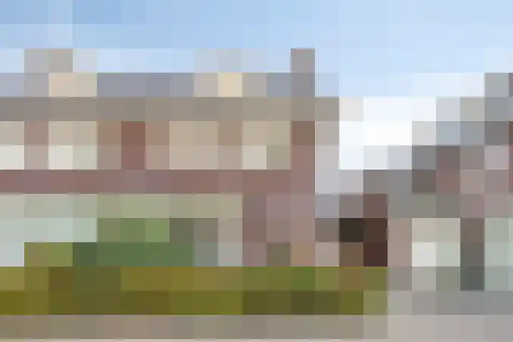 Kruidnagel 14 Gemert thumbnail 28