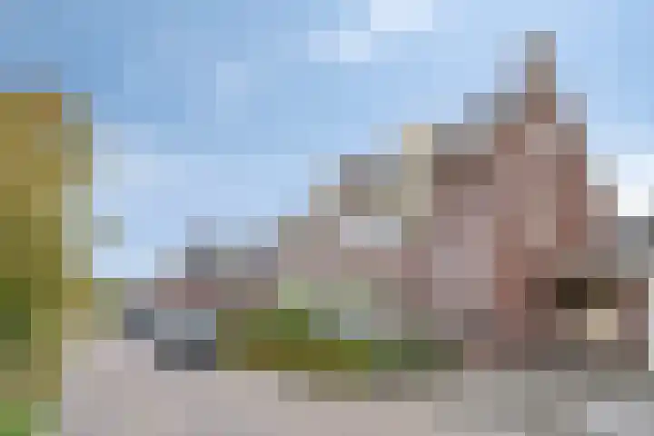 Kruidnagel 14 Gemert thumbnail 29
