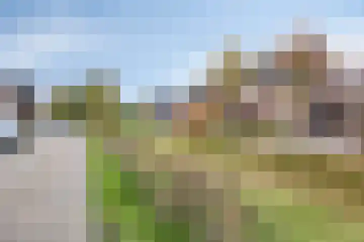 Kruidnagel 14 Gemert thumbnail 30