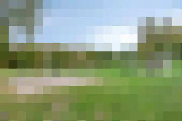 Kruidnagel 14 Gemert thumbnail 31