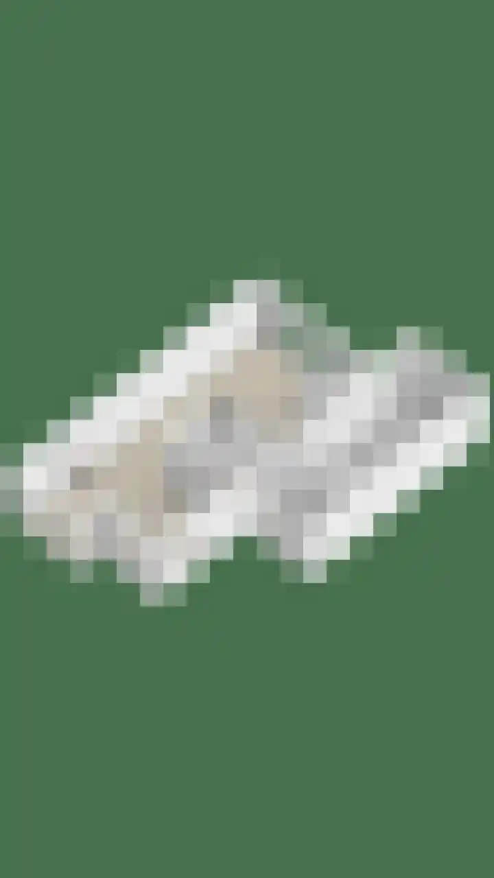 Kruidnagel 14 Gemert thumbnail 35