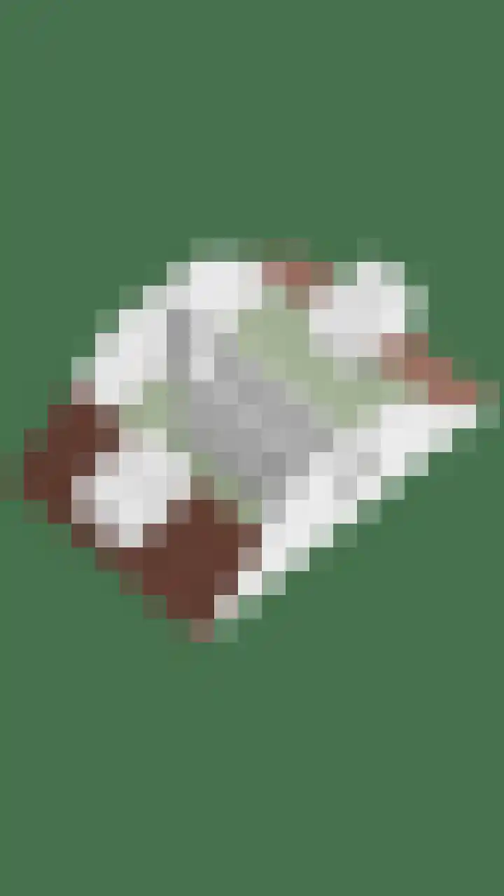 Kruidnagel 14 Gemert thumbnail 37