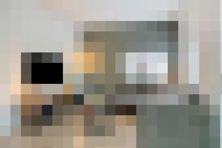 Kruidnagel 14 Gemert thumbnail 7