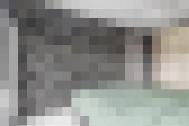 Kruier 16 Assendelft thumbnail 12