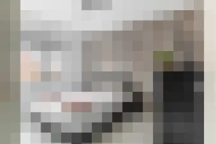 Kruier 16 Assendelft thumbnail 13