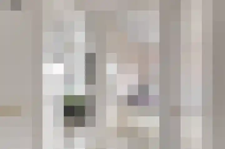 Kruier 16 Assendelft thumbnail 18