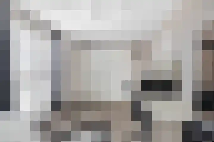 Kruier 16 Assendelft thumbnail 19