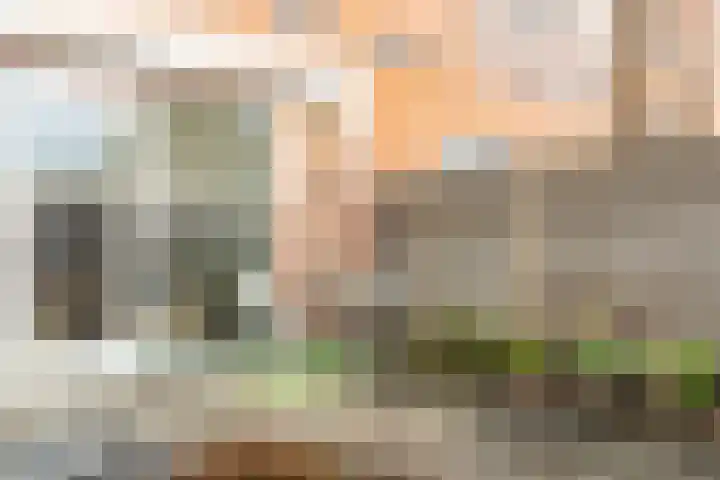 Kruier 16 Assendelft thumbnail 24