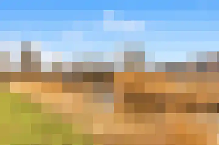 Kruier 16 Assendelft thumbnail 28