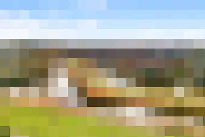 Kruier 16 Assendelft thumbnail 29