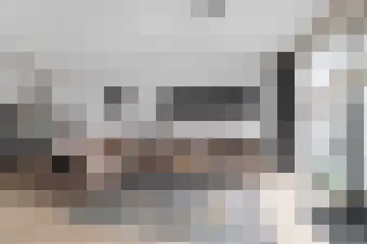 Kruier 16 Assendelft thumbnail 4