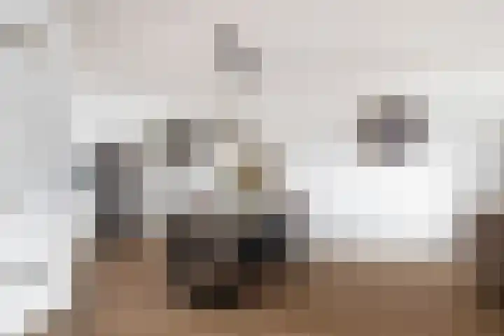 Kruier 16 Assendelft thumbnail 6