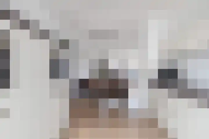Kruier 16 Assendelft thumbnail 9