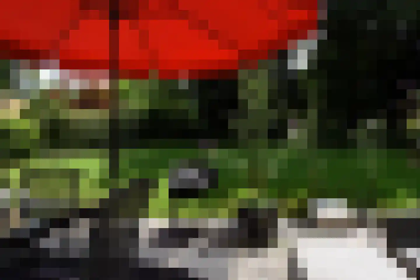 Kruinweg 1 b 059 Simpelveld thumbnail 19
