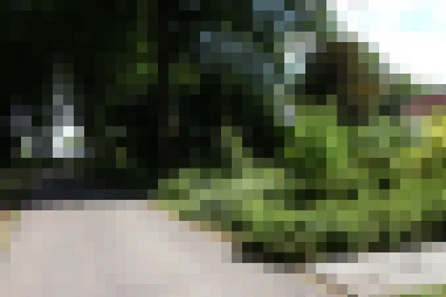 Kruinweg 1 b 059 Simpelveld foto 2