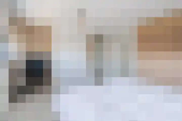 Kruipeind 28 Best thumbnail 34