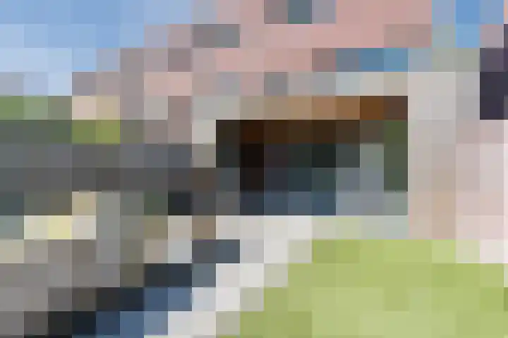 Kruipeind 28 Best thumbnail 44