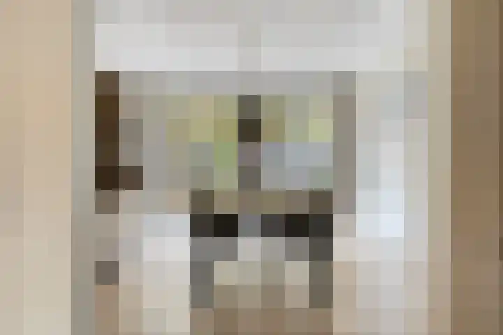 Kruirad 23 Blijham thumbnail 10