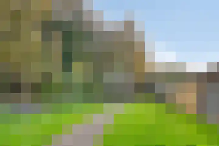 Kruirad 23 Blijham thumbnail 33
