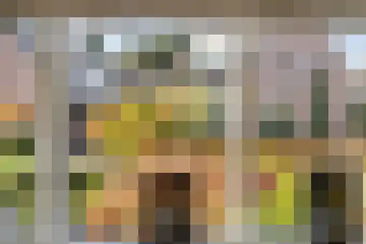 Kruirad 23 Blijham thumbnail 7