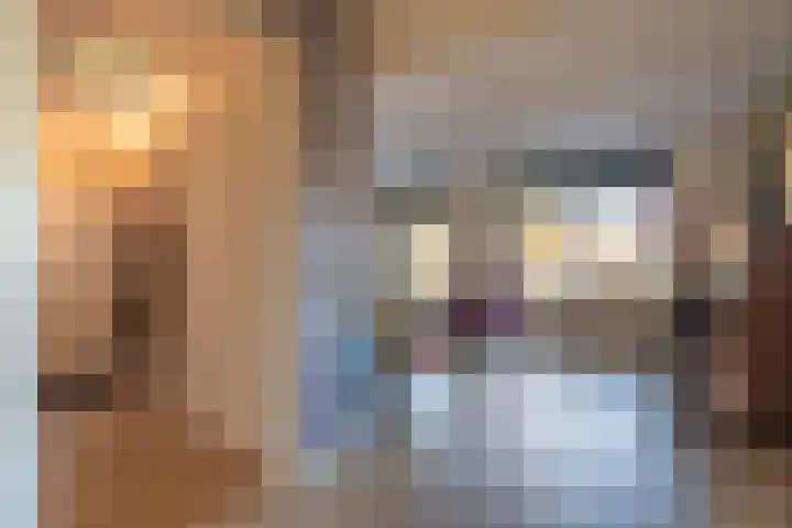 Kruirad 47 Blijham thumbnail 11