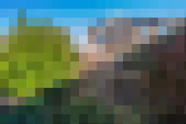 Kruirad 47 Blijham thumbnail 45