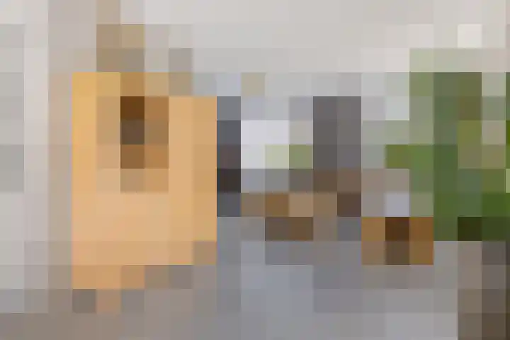 Kruirad 8 Blijham thumbnail 12
