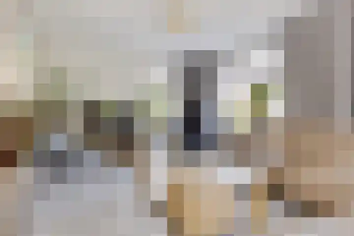 Kruirad 8 Blijham thumbnail 13