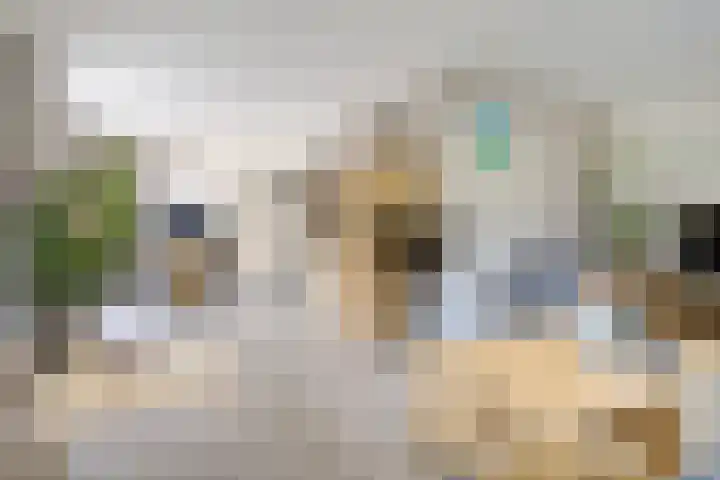 Kruirad 8 Blijham thumbnail 15