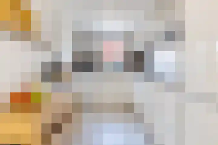 Kruirad 8 Blijham thumbnail 19