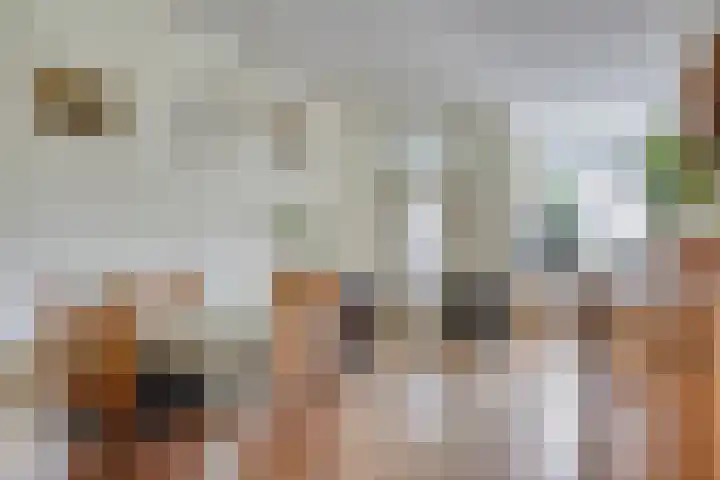 Kruirad 8 Blijham thumbnail 36