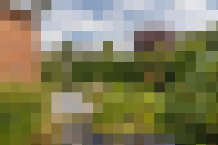 Kruirad 8 Blijham thumbnail 39