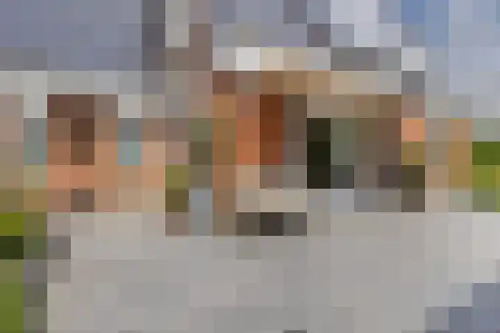 Kruirad 8 Blijham thumbnail 41