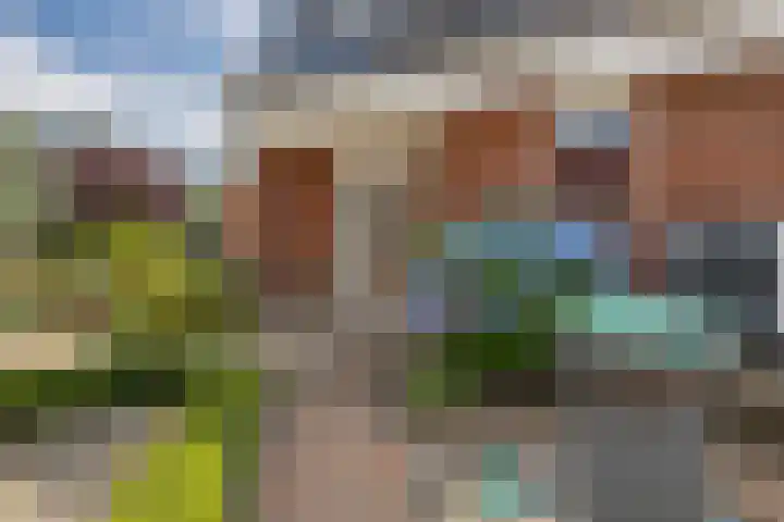 Kruirad 8 Blijham thumbnail 7