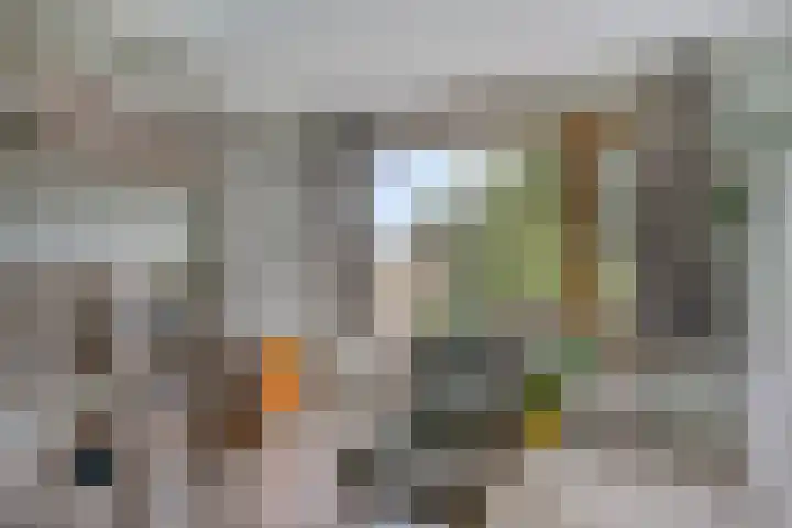Kruisakker 5 Eindhoven thumbnail 18
