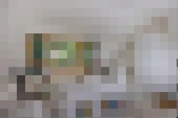 Kruisakker 5 Eindhoven thumbnail 22