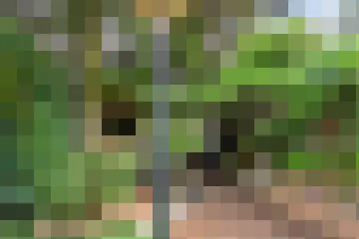 Kruisakker 5 Eindhoven thumbnail 27