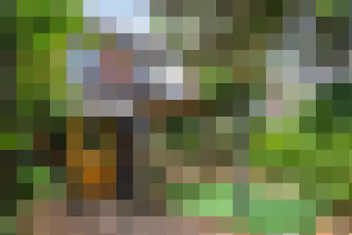 Kruisakker 5 Eindhoven thumbnail 28