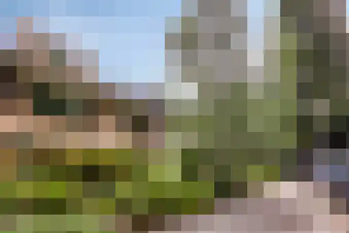 Kruisakker 5 Eindhoven thumbnail 29